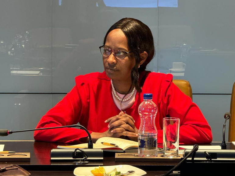 Her Excellency Commissioner Almaz Mesele Maza